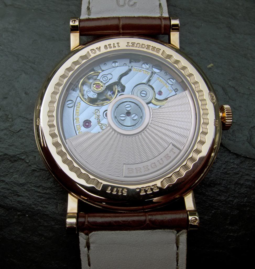 borneo rainbow toad frogman